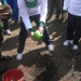CSR - Tree planting program