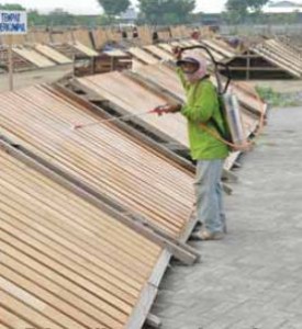 Teak treated in open air to enhance colour