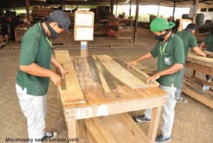 Maximising sawn lumber yield